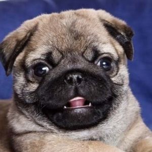 Meet your Posher, Beth